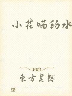 小花喵的水蜜桃