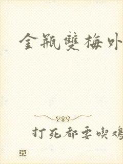 金瓶双梅外传