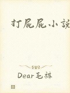 打屁屁小说