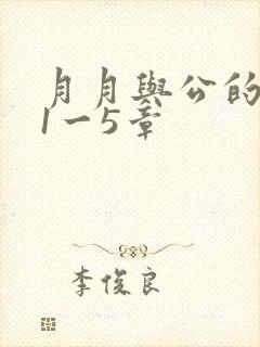 月月与公的激情1一5章