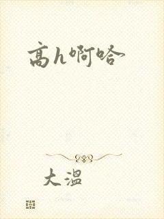 高h啊哈