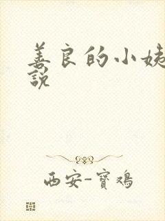 善良的小姨子小说