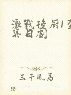 激战后厨1至5集日剧