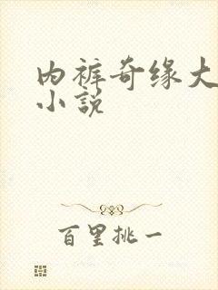 内裤奇缘大团结小说