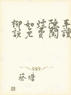 柳如烟陈平安小说免费阅读全文