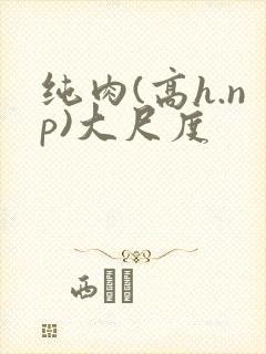 纯肉(高h.np)大尺度