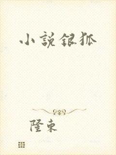 小说银狐