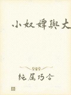 小奴婢与大少爷