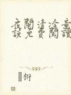 夜阑清冷意欢小说免费阅读