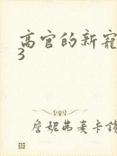高官的新宠1V3