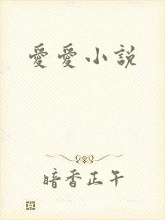 爱爱小说