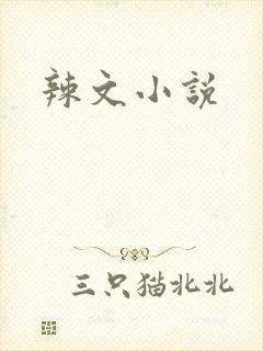 辣文小说