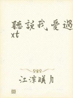 听说我爱过你txt