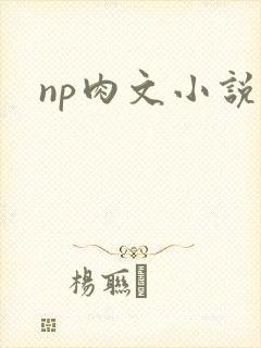 np肉文小说