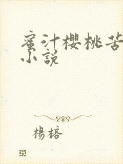 蜜汁樱桃苦咖啡小说