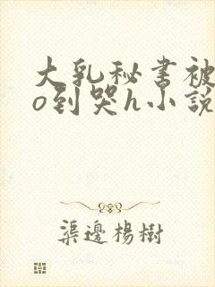 大乳秘书被cao到哭h小说