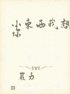 小东西我想弄坏你