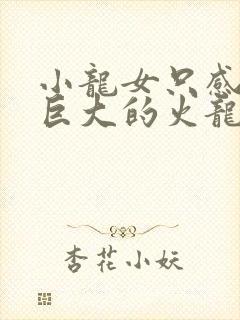 小龙女只感觉那巨大的火龙枪