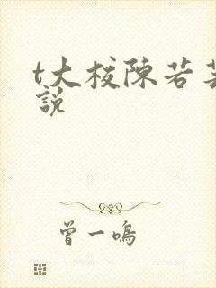t大校陈若芸小说