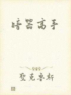 暗器高手