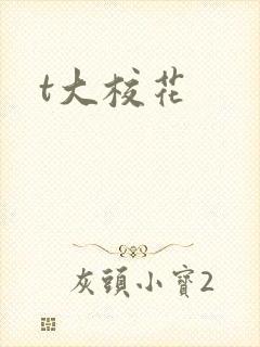 t大校花