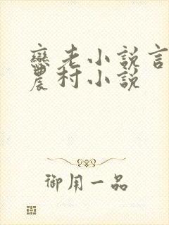 恋老小说言情网农村小说