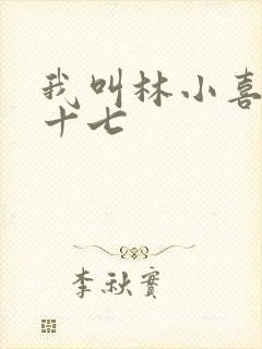 我叫林小喜今年十七