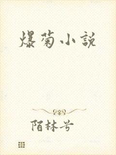 爆菊小说