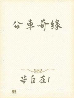 公车奇缘