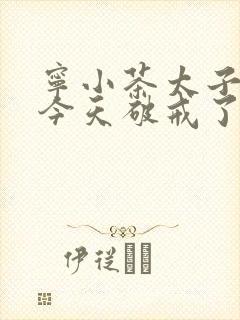 宁小茶太子殿下今天破戒了吗免费阅读