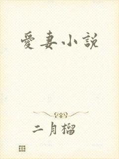爱妻小说