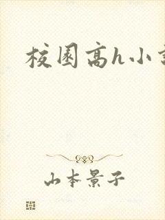 校园高h小说