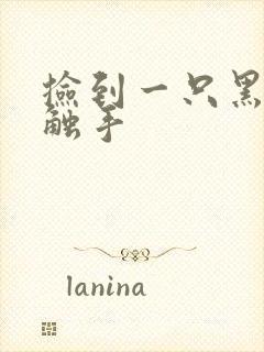 捡到一只黑心小触手