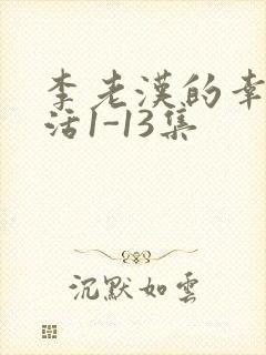 李老汉的幸福生活1-13集