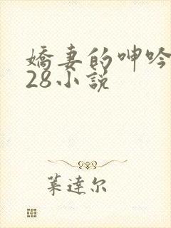娇妻的呻吟1—28小说