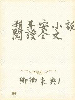 赵平安小说免费阅读全文