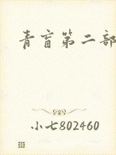 青盲第二部