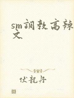 sm调教高辣h文