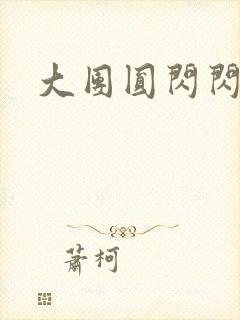 大团圆闪闪发光