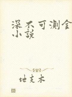 深不可测金银花小说