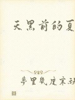 天黑前的夏天