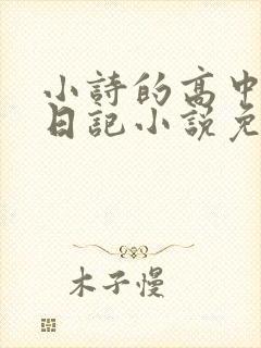 小诗的高中成长日记小说免费阅读