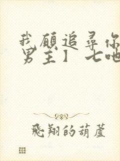 我愿追寻你【双男主】 七吔