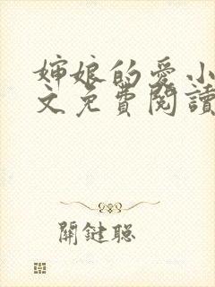 婶娘的爱小说全文免费阅读