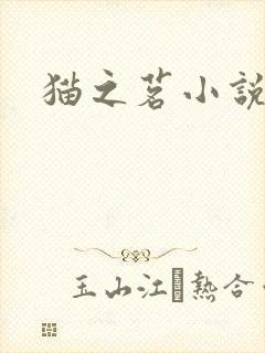 猫之茗小说