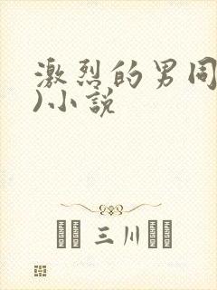 激烈的男同(h)小说