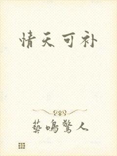 情天可补