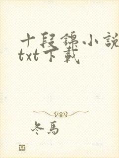 十段锦小说全本txt下载