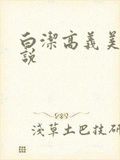 白洁高义美红小说