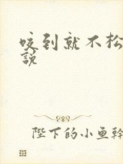 咬到就不松口小说